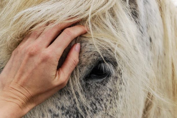 Pexels photo 614521